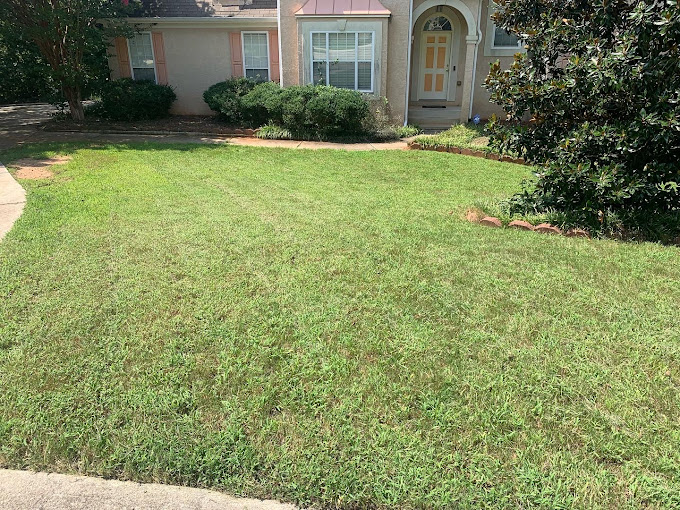 Your Ultimate Resource for a Stunning Yard